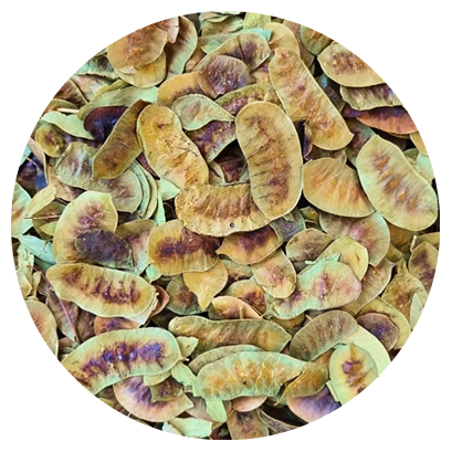 Premium spice and natural ingredient product showcase 1 - The Tree Shade