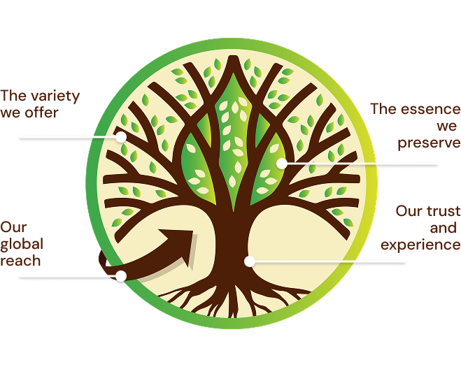 The Tree Shade company overview and heritage - premium spices and natural ingredients supplier since 1945